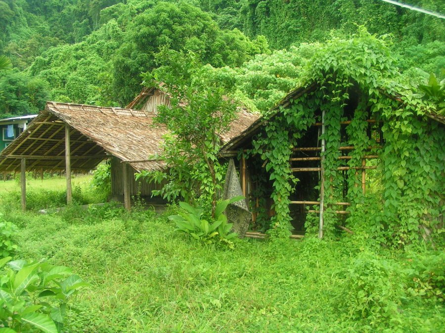 Зеленый дом на Соломоновых островах